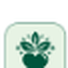 Zest Organic is a way of life